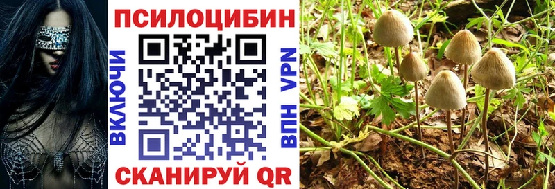 Галлюциногенные грибы Psilocybine cubensis  Купить где  Куса 